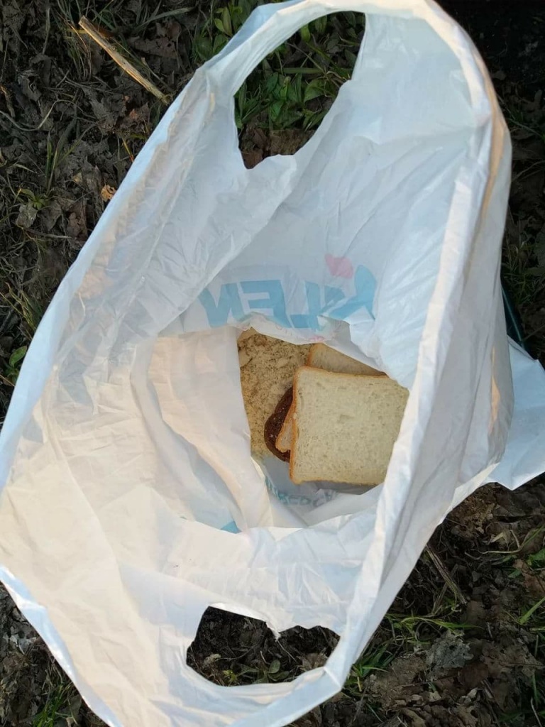 Как и на что ловить голавля фидером весной. Не спортивный способ ловли на хлеб и не только... (7).jpg